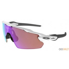 purple oakley sunglasses